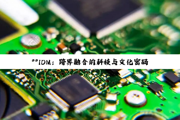 **IDM：跨界融合的科技与文化密码**