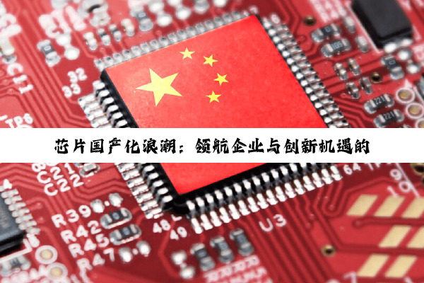 【科普解答】芯片国产化浪潮：领航企业与创新机遇的深度剖析