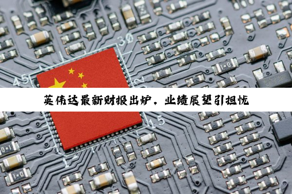 英伟达最新财报出炉，业绩展望引担忧