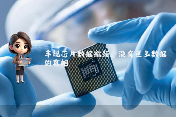 车规芯片数据瓶颈：没有更多数据的真相