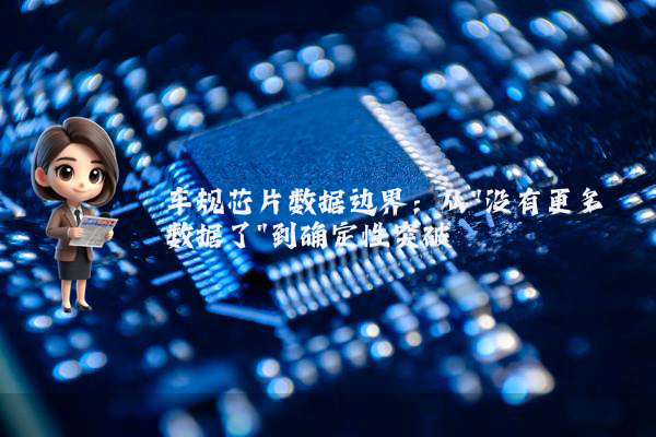 车规芯片数据边界:从
