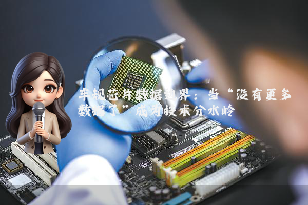 车规芯片数据边界：当“没有更多数据了”成为技术分水岭