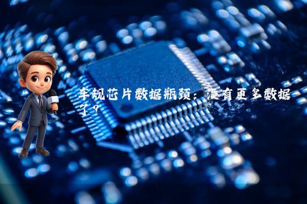 车规芯片数据瓶颈：没有更多数据了？