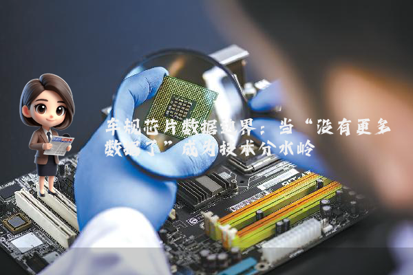 车规芯片数据边界：当“没有更多数据了”成为技术分水岭