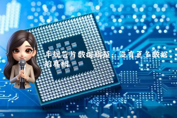 车规芯片数据瓶颈：没有更多数据的真相